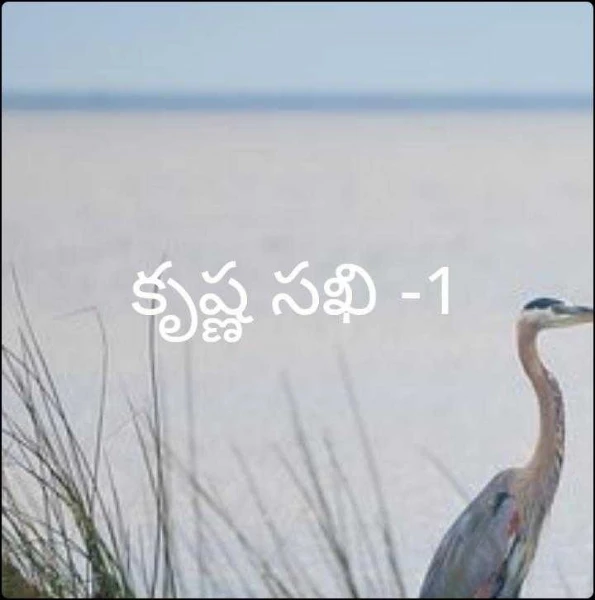 కృష్ణ సఖి -1