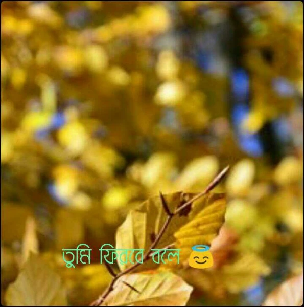 তুমি ফিরবে বলে 😇