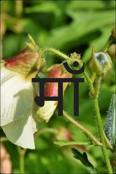माँ