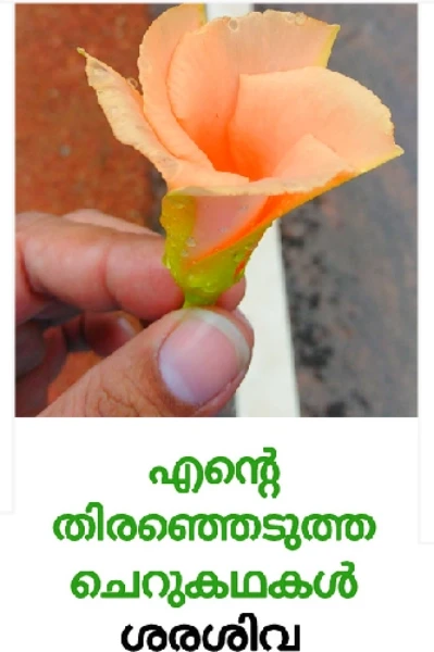 എന്റെ തിരഞ്ഞെടുത്ത ചെറുകഥകൾ