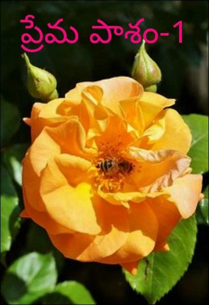 ప్రేమ పాశం