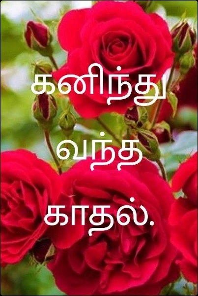 கனிந்து வந்த காதல்.( குறுநாவல்கள்)
