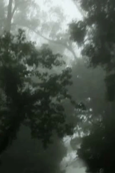 ருத்ராட்சம்
