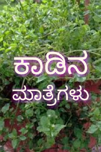 ಹಕ್ಕರಿಕೆ ಸೊಪ್ಪು