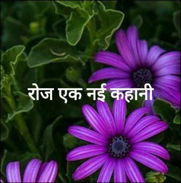 रोज एक नई कहानी