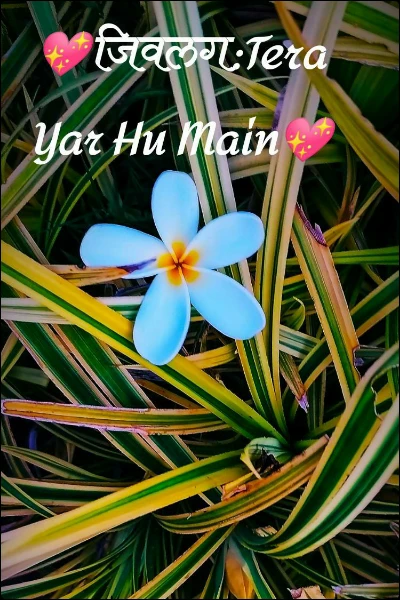 💖जिवलग:Tera Yar Hu Main💖