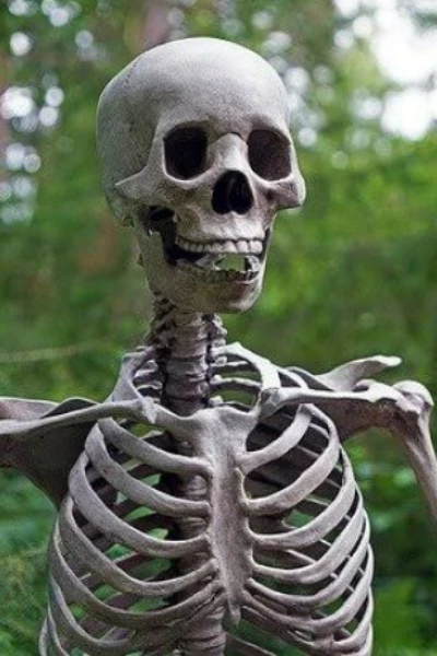 कंकाल जाग उठा पार्ट --- 1