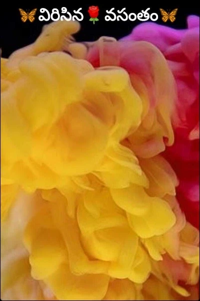 🦋విరిసిన🌹వసంతం🦋