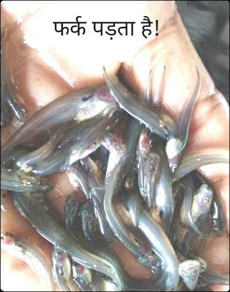 फर्क पड़ता है!