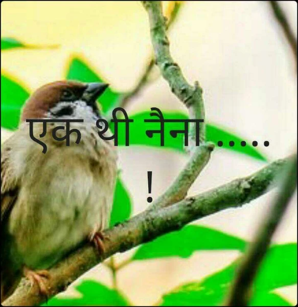 एक थी नैना .....!