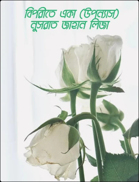 বিপরীতে একা (উপন্যাস) নুসরাত জাহান লিজা