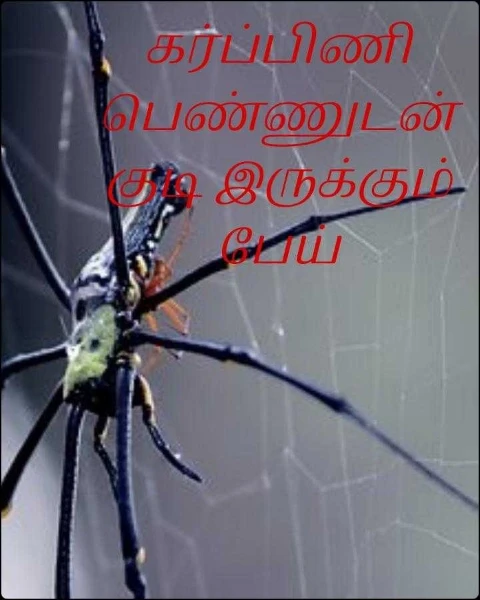 கர்ப்பிணி பெண்ணுடன் குடி இருக்கும் பேய்