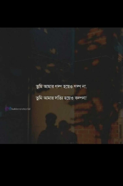 ,""    নিরব ভালোবাসা,""