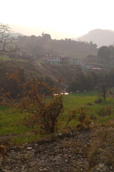 मासूमियत और क्रोध