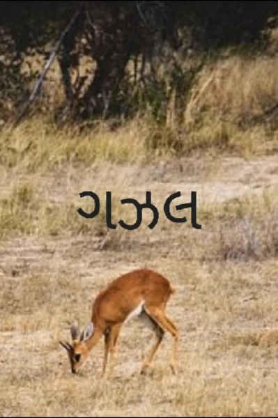 નવલિકા ,સંસ્કૃતિઅને યશગાથા.