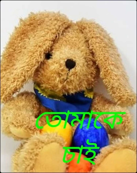 তোমাকে চাই