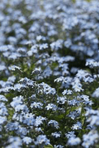 મને શોધી લાવો