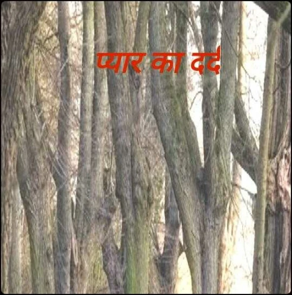 प्यार का दर्द