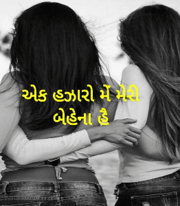એક હજારો મેં મેરી બેહેના હૈ
