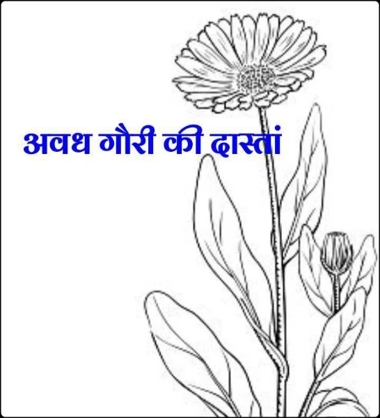 अवध गौरी की दास्तां 
(सीरीज 1 सारे भाग)