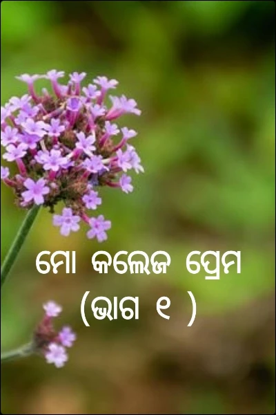 ମୋ କଲେଜ ପ୍ରେମ (ଭାଗ ୧ )