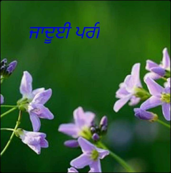 ਜਾਦੂਈ ਪਰੀ