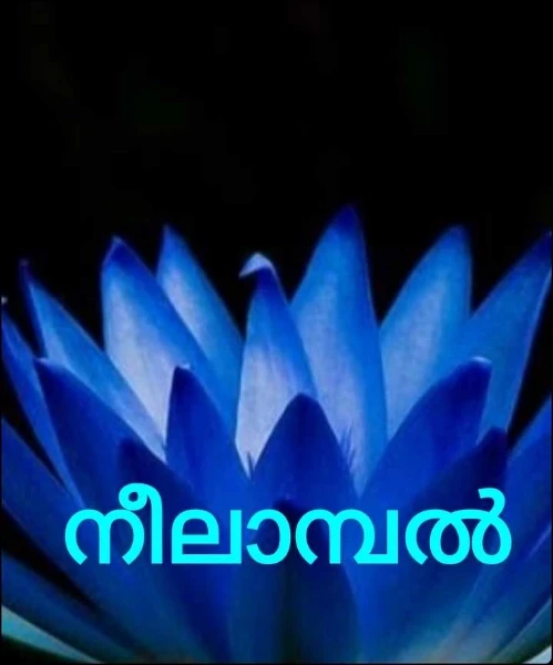 നീലാമ്പൽ