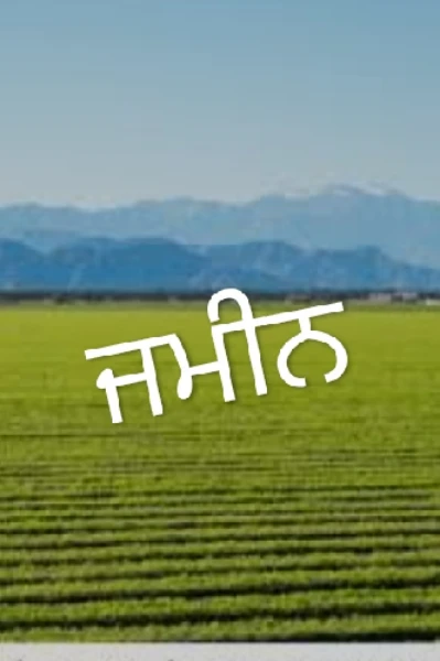 ਜਮੀਨ
