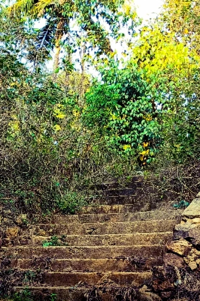 ക്ഷേത്ര കുളം