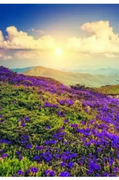 குறிஞ்சி மனம்