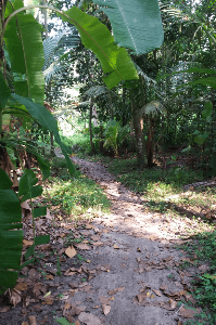 കഥകൾക്ക് പുറമേ