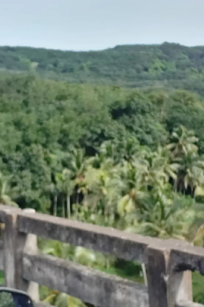 ഒറ്റക്കുന്ന്.    (1)