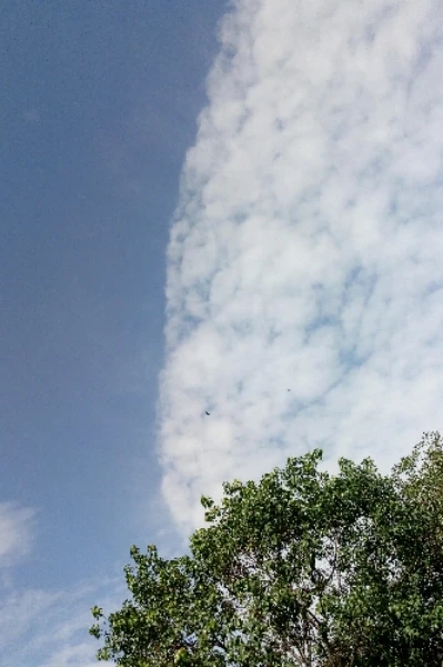 क्या मैं गलत था?