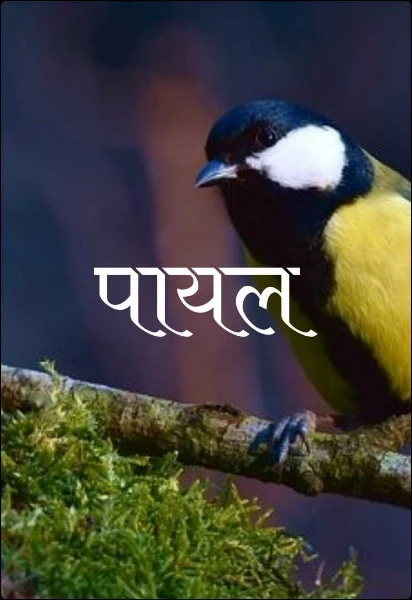 पायल