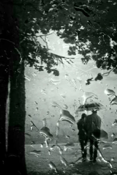 তারা খসা রাতে....