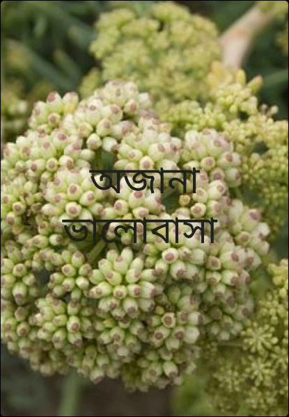 অজানা ভালোবাসা