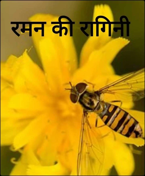 रमन की रागिनी