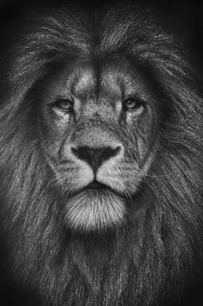 আততায়ী কে?