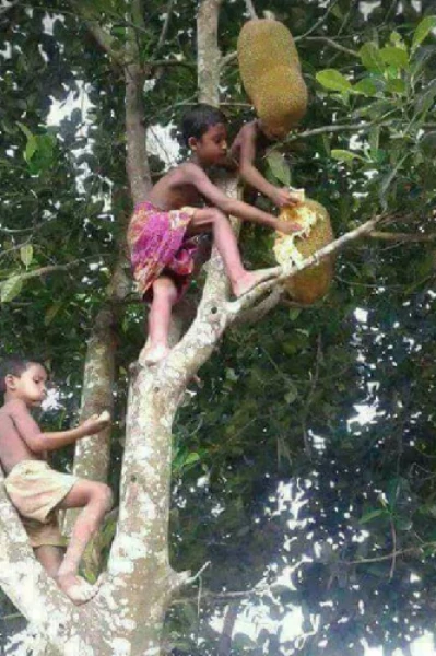 ಉತ್ಸಾಹ ರಗಳೆ