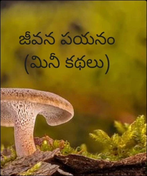 జీవన పయనం (మినీ కథలు)