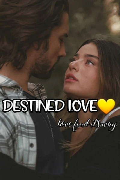 *Dᴇsᴛɪɴᴇᴅ Lᴏᴠᴇ💛*
                   ʟove ғind ɪts ᴡαy