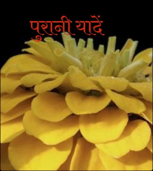 पुरानी यादें