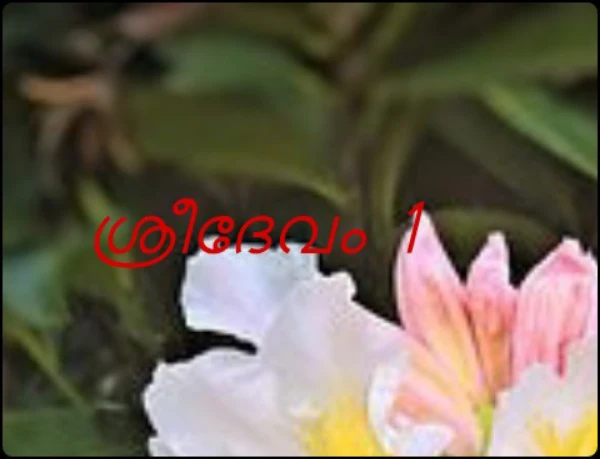 ശ്രീദേവം