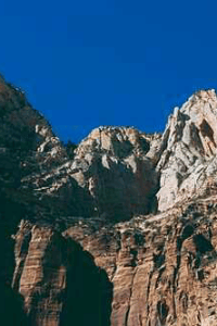दो कलियां