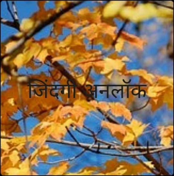 जिंदगी अनलॉक