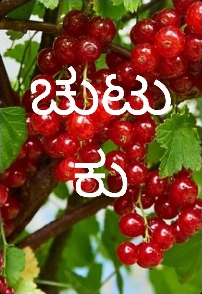 ಚುಟುಕು