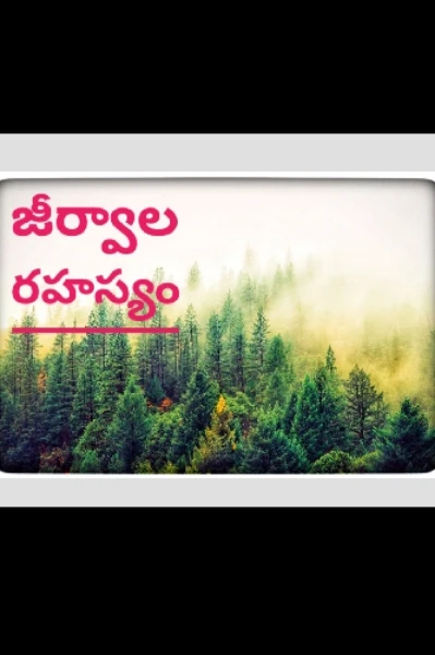 "జీర్వాల రహస్యం"