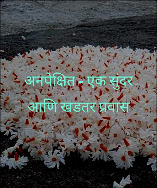 अनपेक्षित - एक सुंदर आणि खडतर प्रवास