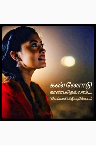 கண்ணோடு காண்பதெல்லாம்....(மெய்யாகி விடுவதில்லை)