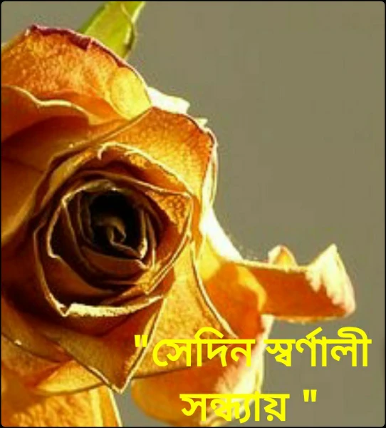 "সেদিন স্বর্ণালী সন্ধ্যায় "